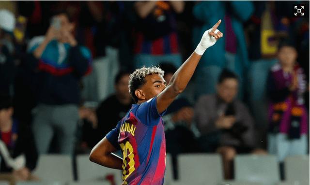 项目聚焦 项目聚焦